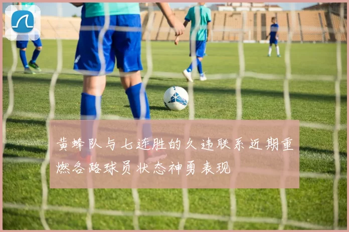 黄蜂队与七连胜的久违联系近期重燃各路球员状态神勇表现